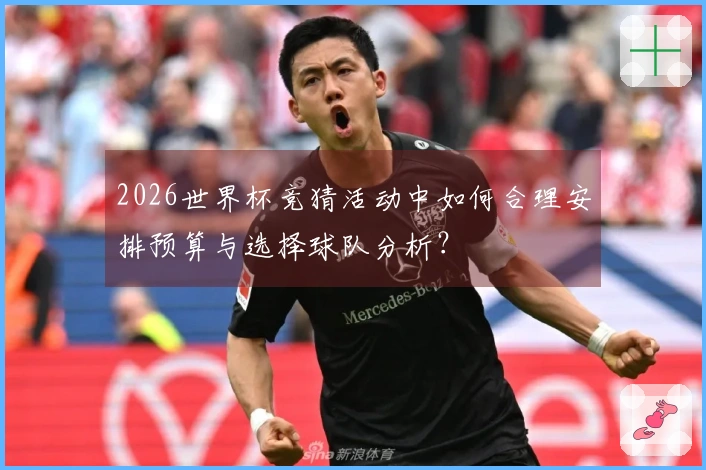 2026世界杯竞猜活动中如何合理安排预算与选择球队分析？