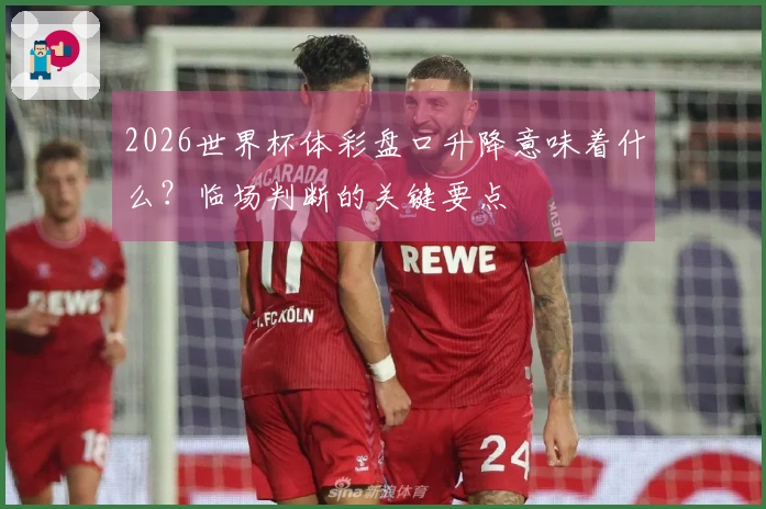 2026世界杯体彩盘口升降意味着什么?临场判断的关键要点