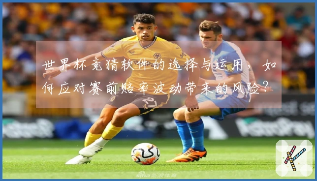 世界杯竞猜软件的选择与运用，如何应对赛前赔率波动带来的风险？