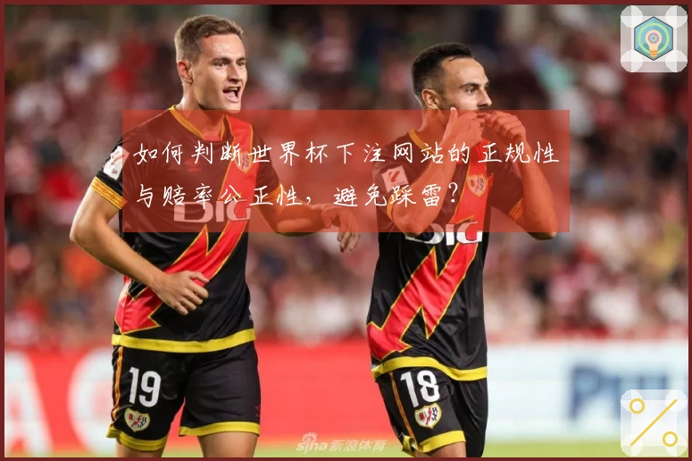 如何判断世界杯下注网站的正规性与赔率公正性，避免踩雷？