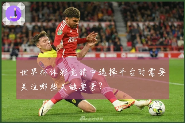 世界杯体彩竞猜中选择平台时需要关注哪些关键要素？