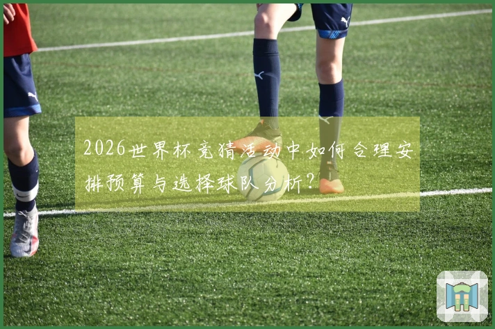 2026世界杯竞猜活动中如何合理安排预算与选择球队分析?