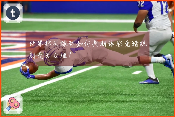 世界杯买球时如何判断体彩竞猜规则是否合理？
