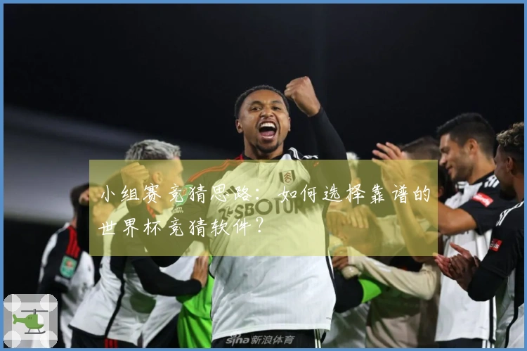 小组赛竞猜思路：如何选择靠谱的世界杯竞猜软件？