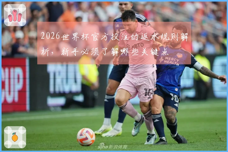 2026世界杯官方投注的返水规则解析，新手必须了解哪些关键点