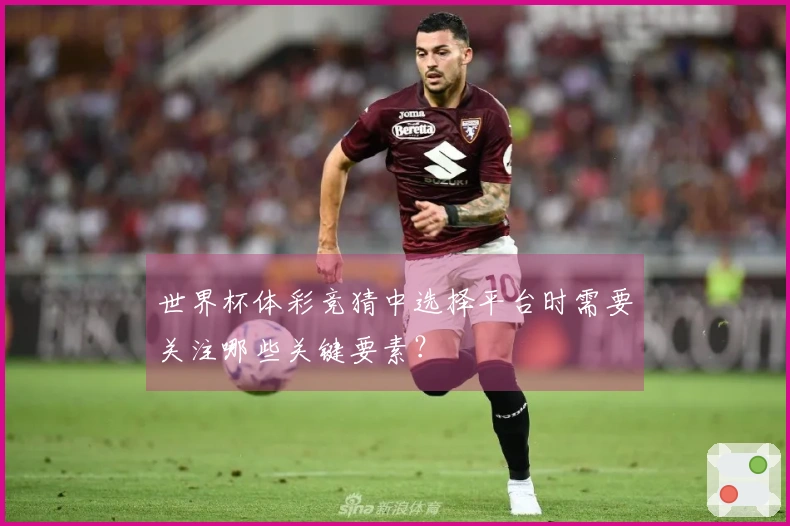 世界杯体彩竞猜中选择平台时需要关注哪些关键要素?