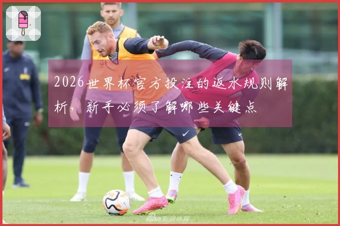 2026世界杯官方投注的返水规则解析，新手必须了解哪些关键点