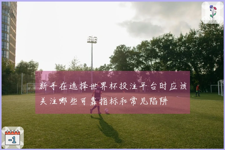 新手在选择世界杯投注平台时应该关注哪些可靠指标和常见陷阱