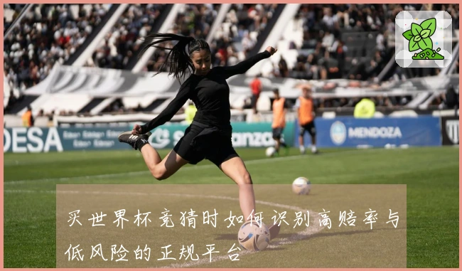 买世界杯竞猜时如何识别高赔率与低风险的正规平台