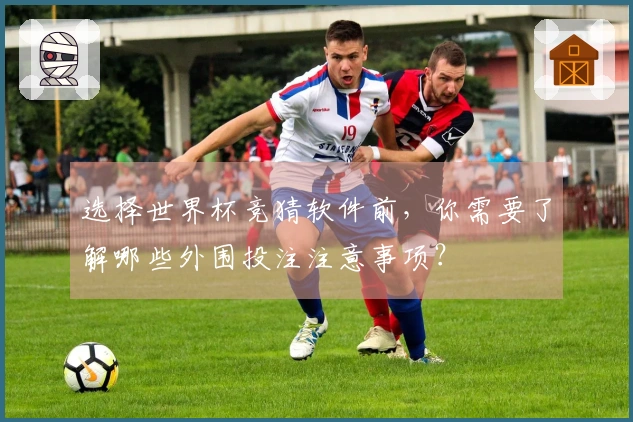 选择世界杯竞猜软件前，你需要了解哪些外围投注注意事项？
