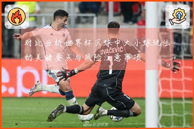 对比分析世界杯买球中大小球玩法的关键要点与风险注意事项