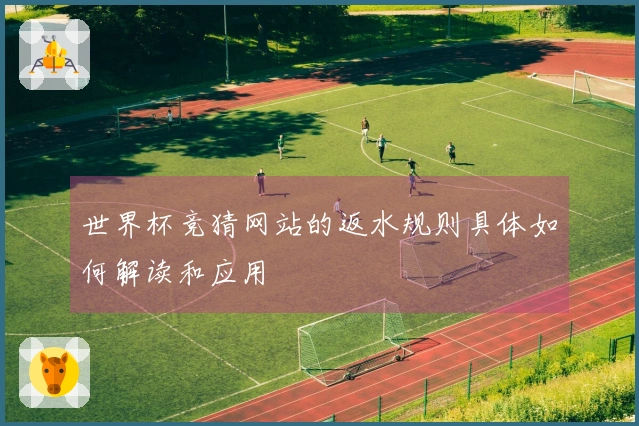 世界杯竞猜网站的返水规则具体如何解读和应用