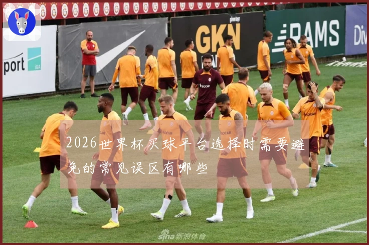 2026世界杯买球平台选择时需要避免的常见误区有哪些