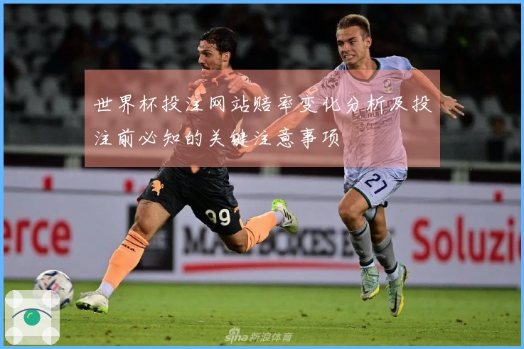世界杯投注网站赔率变化分析及投注前必知的关键注意事项