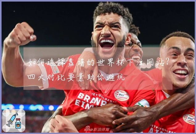 如何选择靠谱的世界杯下注网站？四大对比要素助你避坑