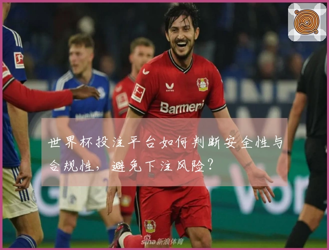 世界杯投注平台如何判断安全性与合规性，避免下注风险？