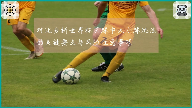 对比分析世界杯买球中大小球玩法的关键要点与风险注意事项