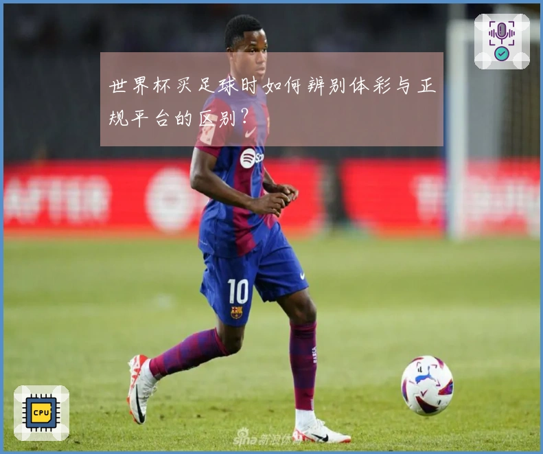 世界杯买足球时如何辨别体彩与正规平台的区别？