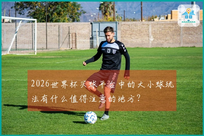 2026世界杯买球平台中的大小球玩法有什么值得注意的地方？