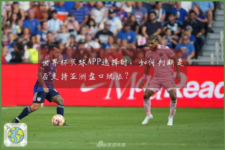 世界杯买球APP选择时，如何判断是否支持亚洲盘口玩法？
