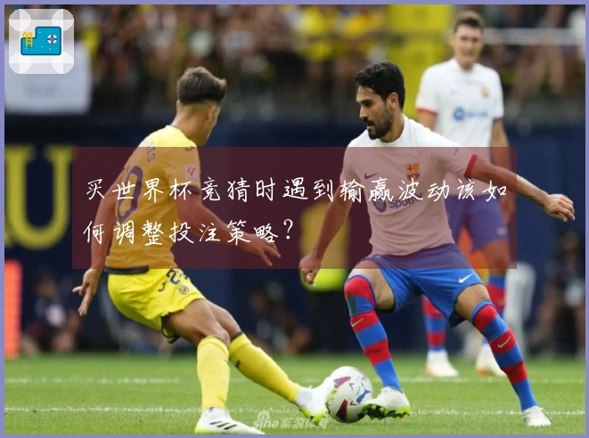 买世界杯竞猜时遇到输赢波动该如何调整投注策略?