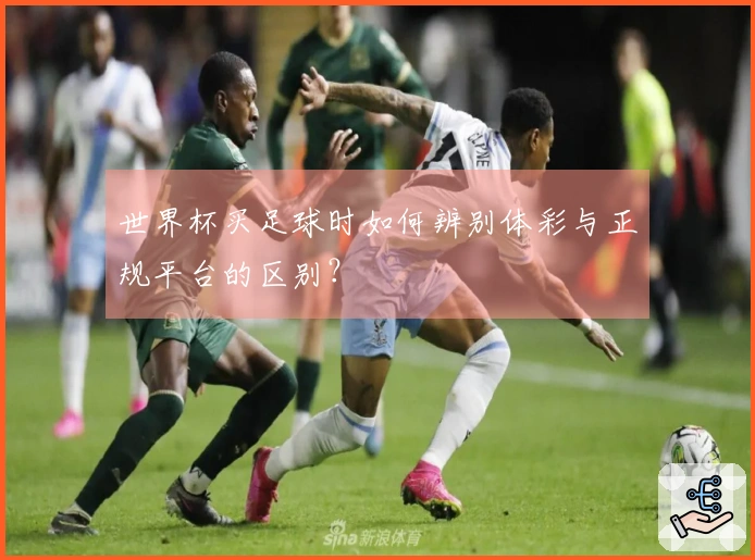 世界杯买足球时如何辨别体彩与正规平台的区别？