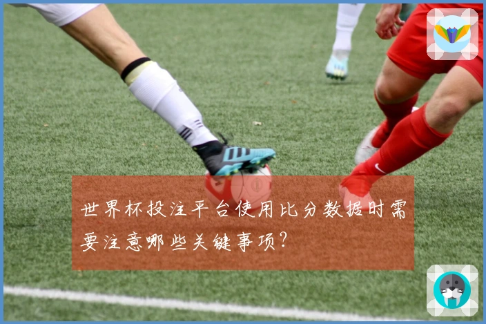 世界杯投注平台使用比分数据时需要注意哪些关键事项？